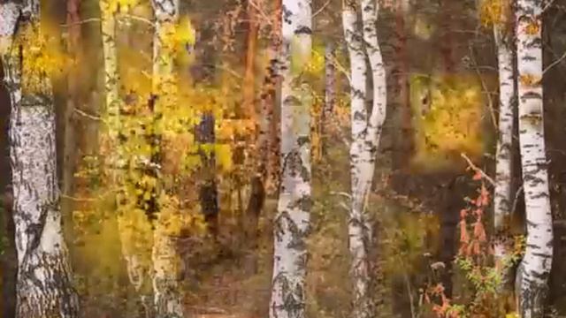 ОСЕНЬ ЖЁЛТЫЙ БЛЮЗ смотреть онлайн
