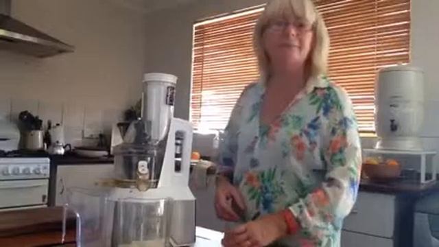 Ginger Zinger In The Raw