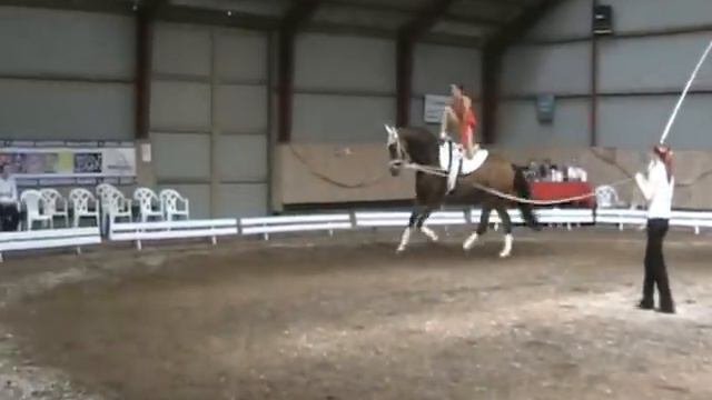 Enkelt stævne Stenlille den 20-5-2012 - Anne Quist Riis Kristiansen enkelt küre смотреть онлайн