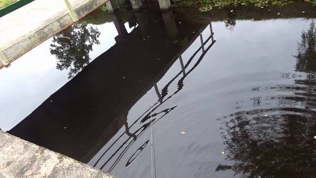 IK VANG EEN HELE DIKKE BAARS OP DE SPINNER  || Roofvissen