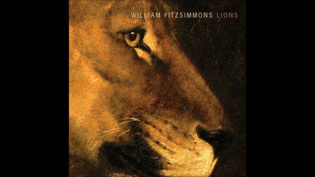 William Fitzsimmons -- Took (Lions 2014) смотреть онлайн
