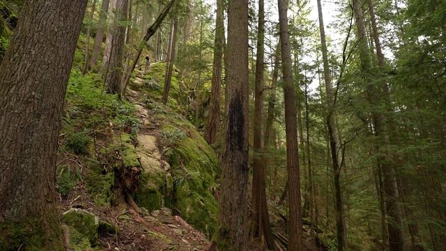 Steve Vanderhoek's "Mullet" Chainsaw DH - Bike Check смотреть онлайн