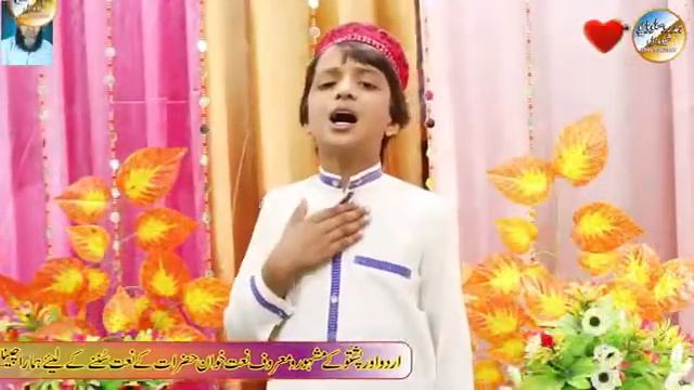 Zma Allah By Ahmad Madani | naat | pashto naat | hd naat| pashto new naat | Hamd Sharif