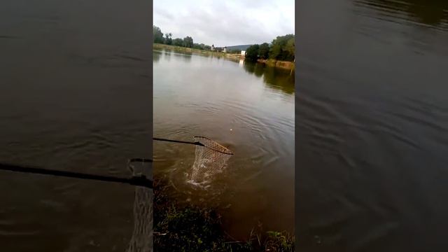 Споделяне смотреть онлайн