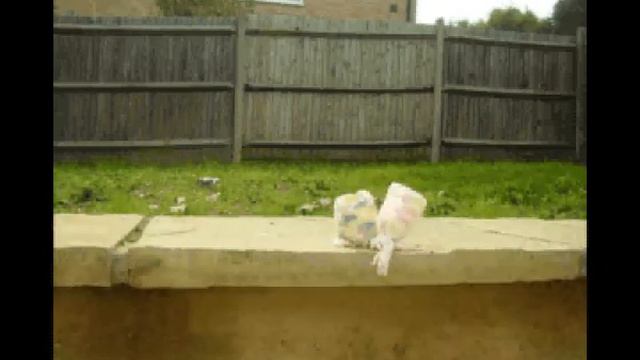 Innocent Smoothie Hats Dancing