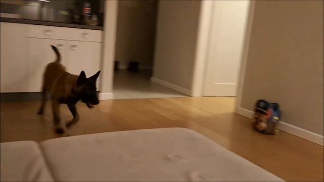 Olaf I Haker смотреть онлайн