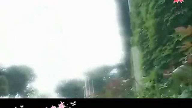 MV 爱在记忆中盛开 Wallace Chung - Ruby Lin