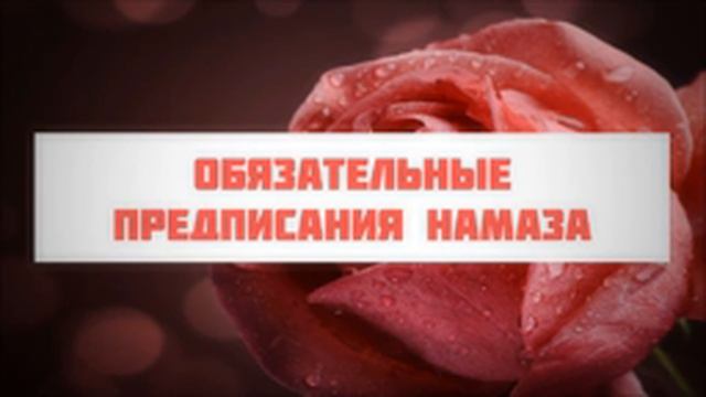 Обязательные предписания намаза ¦¦ Абу Яхья Крымский смотреть онлайн