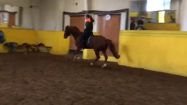 Сир Хуберт (2) смотреть онлайн