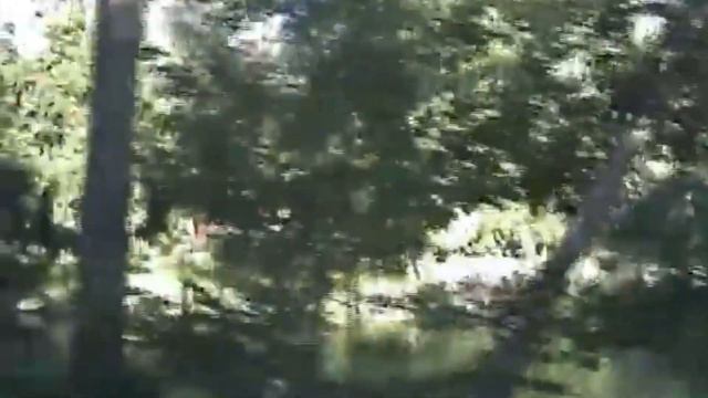 Unique Views on the Disneyland Railroad Vol. 23, 2005 (feat. Ward Kimball and Marie E.) смотреть онлайн