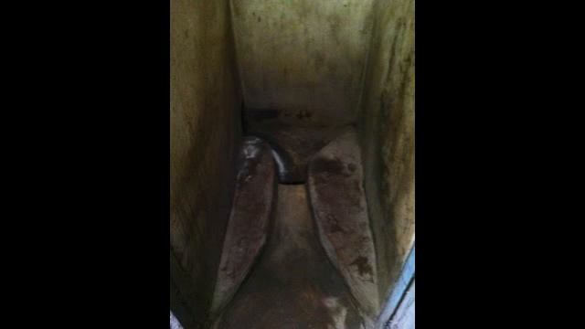 World Toilet Day 2013 Sanivation смотреть онлайн