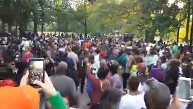 Brooklyn Elements Music Festival Fort Greene Park смотреть онлайн