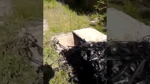 Ludnicata v pleven ep. 1 смотреть онлайн