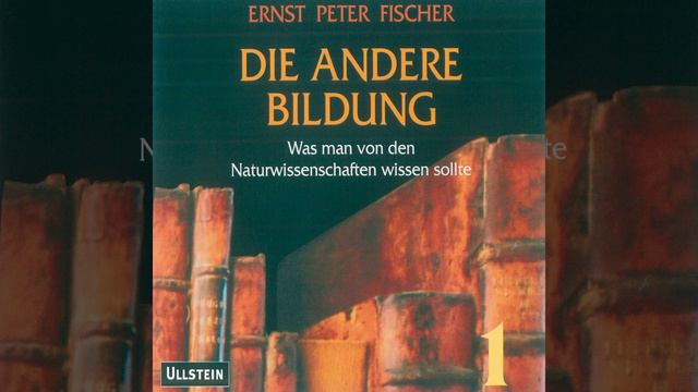 Kapitel 164 - Die Andere Bildung 2