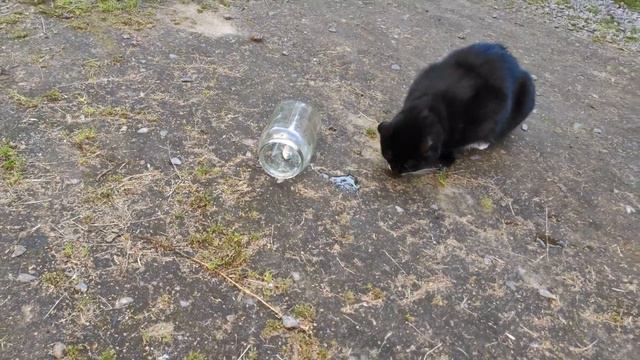 Вкусный карасик 7 авг 2019