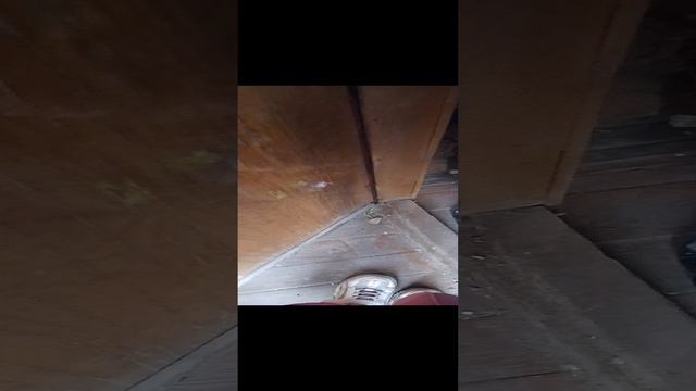 VID_20240922_152226.mp4