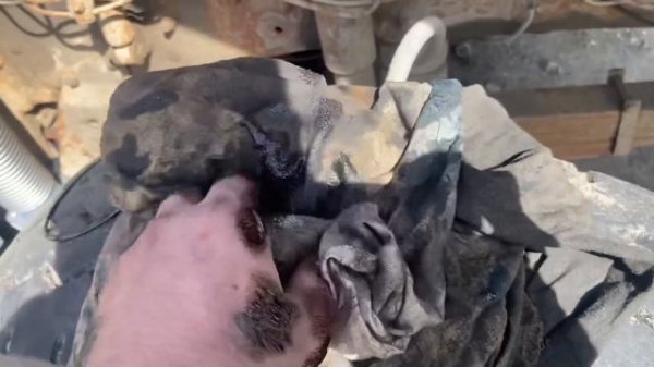 Копаюсь сразу в двух КАМАЗах! Фильтр Sedan filter приятно удивил!!