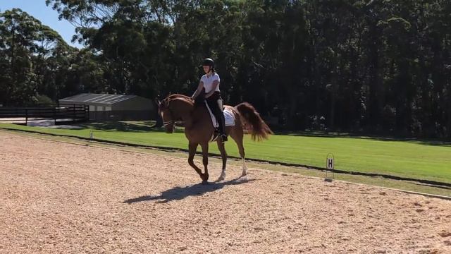 Advanced 5A - Klara Denny Riding Bello Gallico