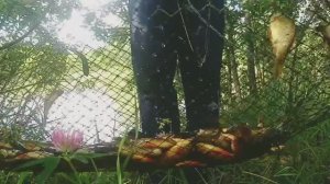 Рыболовная снасть норот, морда, корчага,