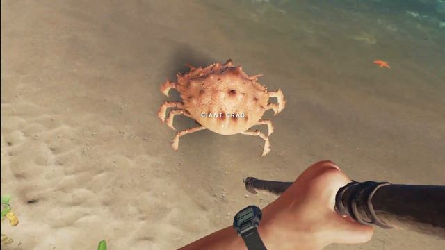 Building My Gyrocopter in Stranded Deep // Permadeath Part 11 смотреть онлайн