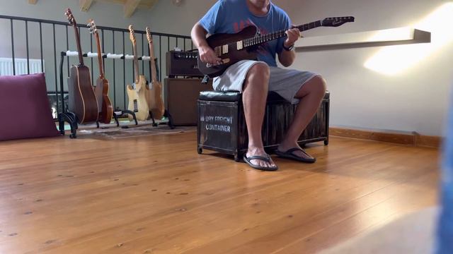 Canalli Super Tele Custom Brazilian Rosewood neck & top / Tony Bruno S100