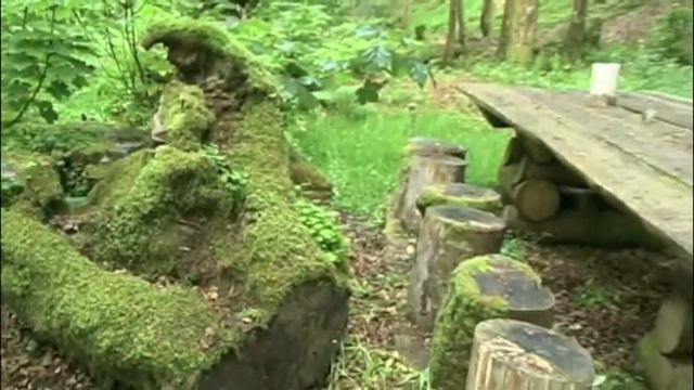 Hunting Brook Gardens  DGG