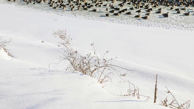 Away In A Manger - Angels We Have Heard On High