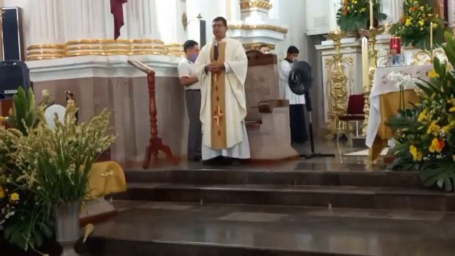 Peregrinaciónes 2022|Barrio Alvaro Obregon, Cristobal Ovejo смотреть онлайн