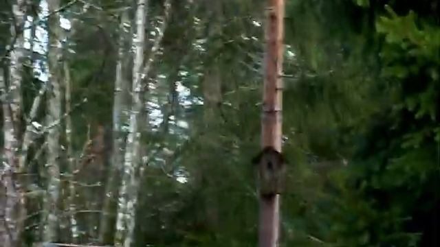 Vihervarpusia Kuvaaja Seppo Lehto luontoaktivisti 30 4 2015 Video смотреть онлайн