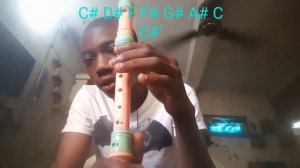 How to play key C sharp major scale on recorder