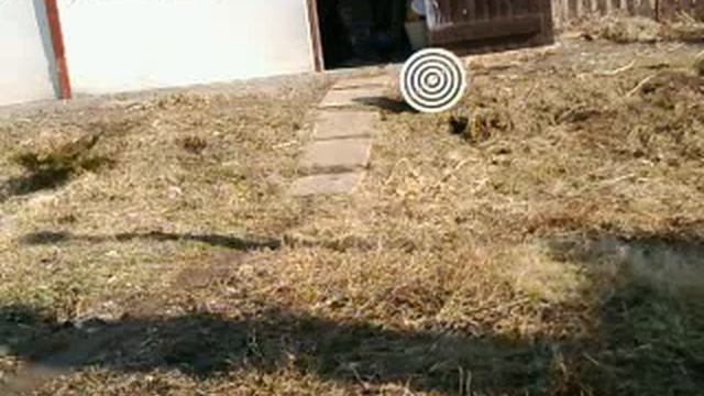 A Vadászat ősi Fortélyai :D XD