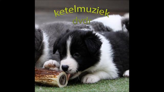 ketelmuziek dvdr смотреть онлайн