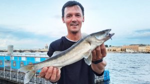 Эмоции зашкаливают! Поймал судака на Неве. Рыбалка в Санкт-Петербурге. Спиннинг с отводным поводком.