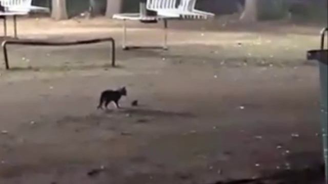 прикол смотреть онлайн