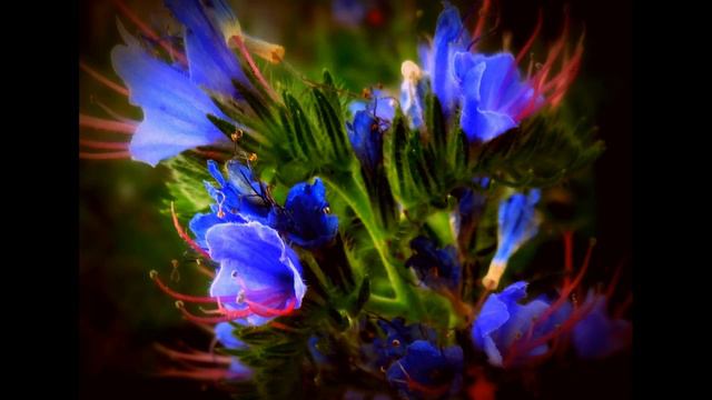 Ponad Tęczą смотреть онлайн