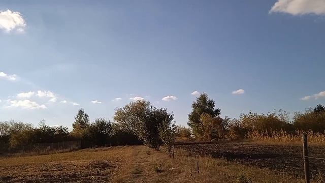 Родная деревня 🍂🌾 смотреть онлайн