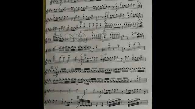 Vivaldi 
