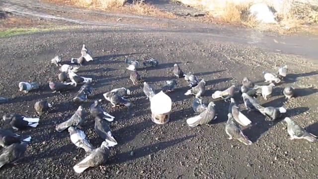 20 декабря пос новоэкономическое на базе смотреть онлайн