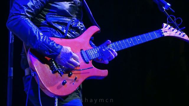 (ABBA) Janne Schaffer : Can't Help Falling In Love With You