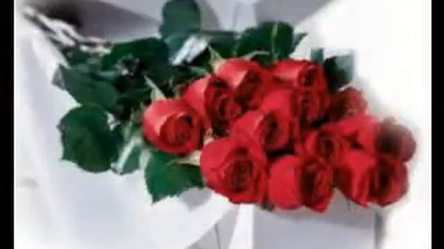 dia de las madrecita linda смотреть онлайн