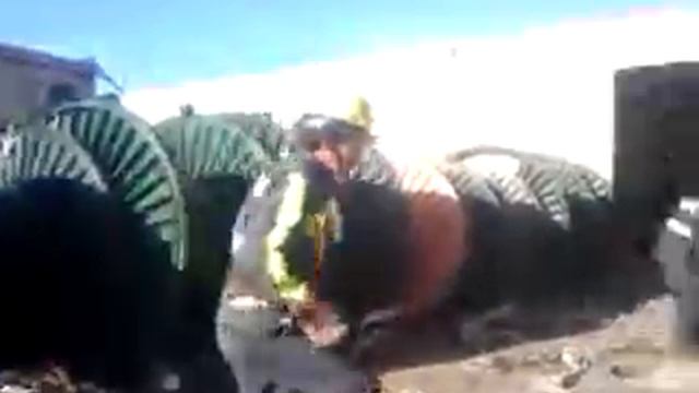 Jose romo смотреть онлайн