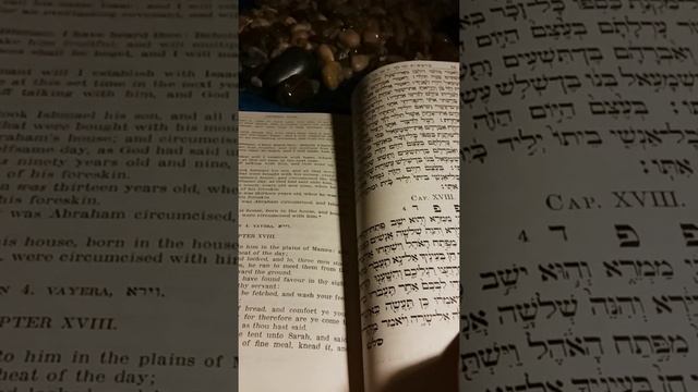 The Pentateuch With Haftaroth And Five Megiloth Translation By Alexander Harkavy: Genesis 18