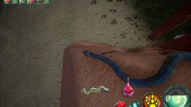 хатико акры