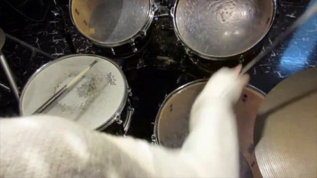 声優がサクラ大戦Ⅴ「地上の戦士」/紐育華撃団・星組　ドラムを叩きながら歌ってみた смотреть онлайн