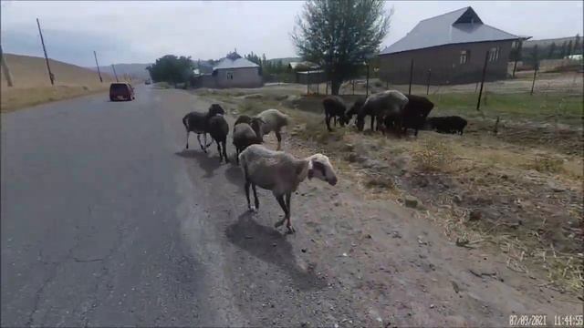 #11. Арстанбап, малый водопад смотреть онлайн