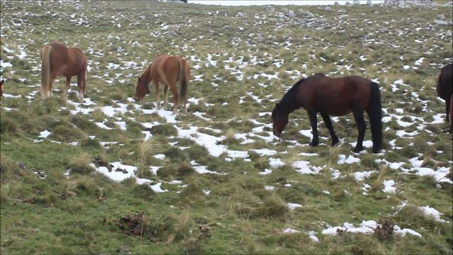 Parco Nazionale Pollino: Direttissima Dolcedorme смотреть онлайн
