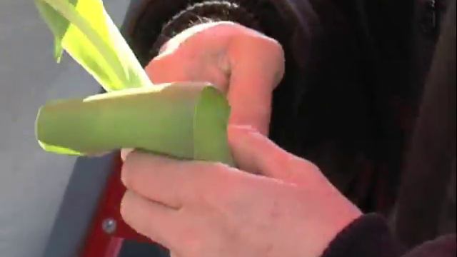 Frühlingsbeginn mit Corine Mauch смотреть онлайн