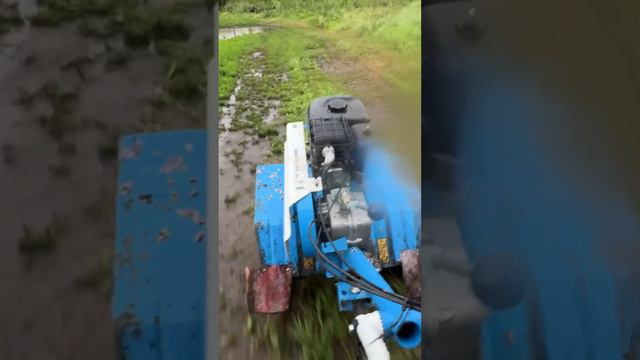 26 июля 2024 г. смотреть онлайн