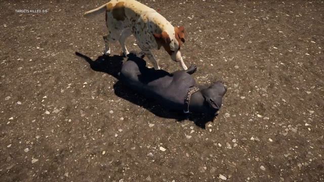 Attack Dog All Kill And Attack Animations In Slow Motion (Far Cry 5) смотреть онлайн
