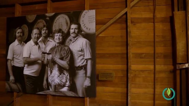 Community Close-Ups: Guglielmo Winery смотреть онлайн